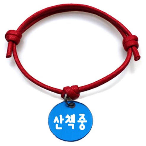 펫츠룩 굿모닝 레드 반려동물 목걸이 M + 알미늄원형 팬던트 S, 블루(산책중), 1개