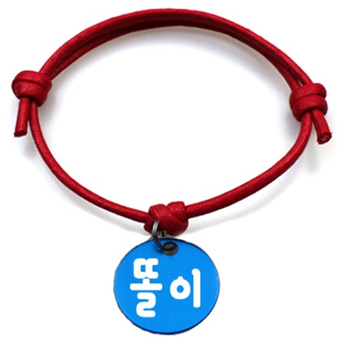 펫츠룩 굿모닝 레드 반려동물 목걸이 M + 알미늄원형 팬던트 S, 블루(똘이), 1개