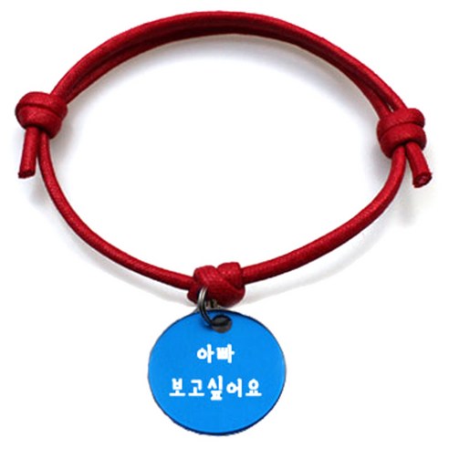 펫츠룩 굿모닝 레드 반려동물 목걸이 M + 알미늄원형 팬던트 S, 블루(아빠보고싶어요), 1개