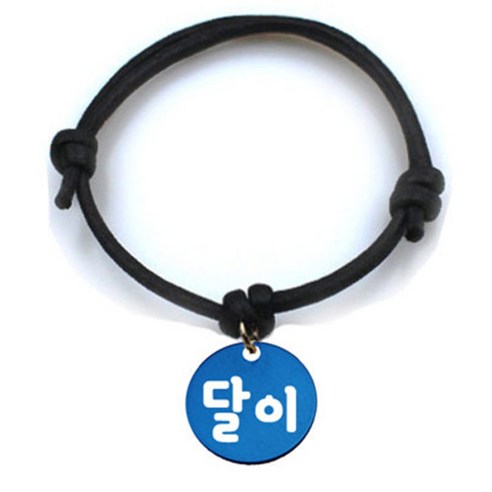 펫츠룩 굿모닝 블랙 반려동물 목걸이 S + 알미늄원형 팬던트 M, 블루(달이), 1개