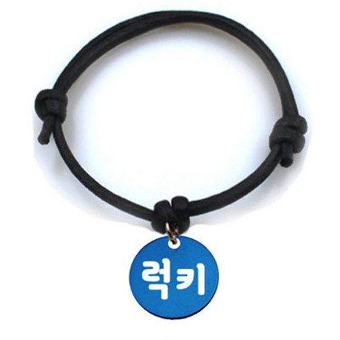 펫츠룩 굿모닝 블랙 반려동물 목걸이 S + 알미늄원형 팬던트 M, 블루(럭키), 1개