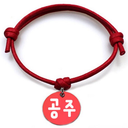 펫츠룩 굿모닝 레드 반려동물 목걸이 M + 알미늄원형 팬던트 M, 레드(공주), 1개