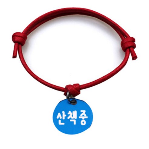 펫츠룩 굿모닝 레드 반려동물 목걸이 M + 알미늄원형 팬던트 M, 블루(산책중), 1개