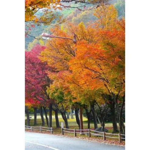 The Autumn Season Notebook Paperback, Createspace Independent ...