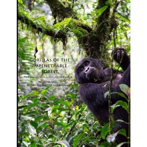 Gorillas of the Impenetrable Forest: The Mountain Gorillas of Bwindi Paperback, Createspace Independent Publishing Platform