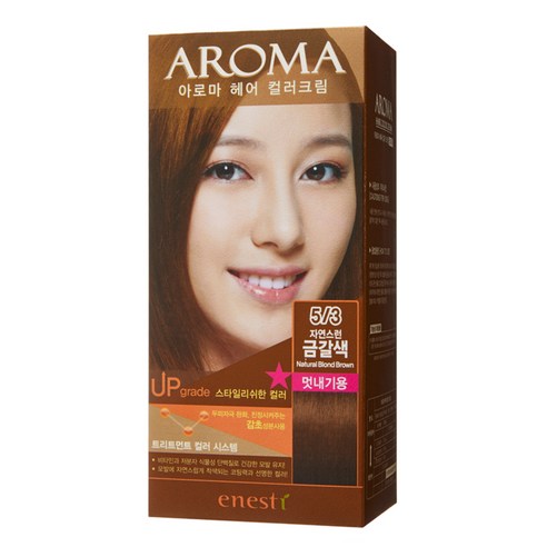 에네스티 아로마 염모제 멋내기용, 5/3 자연스런 금갈색, 1개