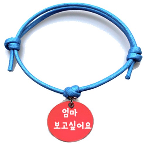 펫츠룩 굿모닝 블루 반려동물 목걸이 M + 알미늄원형 팬던트 S, 레드(엄마보고싶어요), 1개