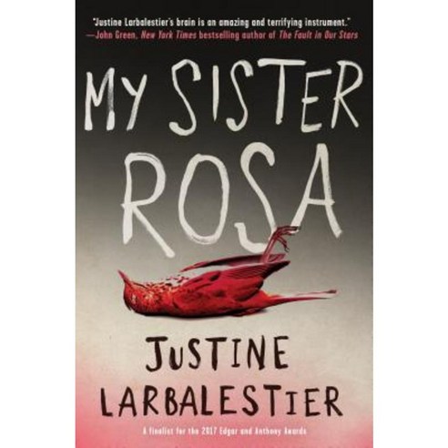 My Sister Rosa Paperback, Soho Teen