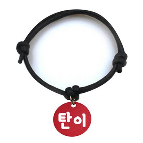 펫츠룩 굿모닝 블랙 반려동물 목걸이 M + 알미늄원형 팬던트 M, 레드(탄이), 1개