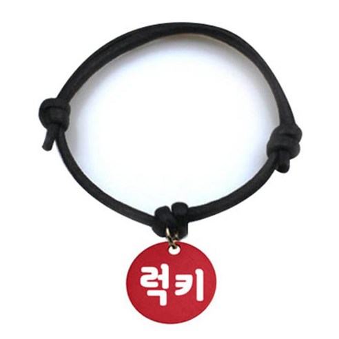 펫츠룩 굿모닝 블랙 반려동물 목걸이 M + 알미늄원형 팬던트 M, 레드(럭키), 1개
