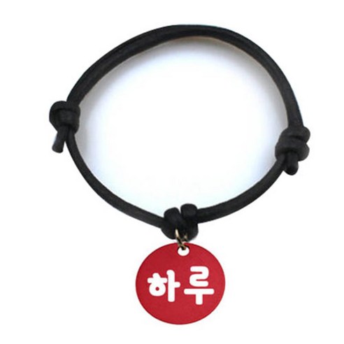 펫츠룩 굿모닝 블랙 반려동물 목걸이 M + 알미늄 원형 팬던트 S, 레드(하루), 1개