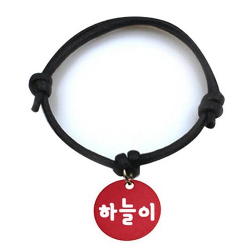 펫츠룩 굿모닝 블랙 반려동물 목걸이 M + 알미늄원형 팬던트 M, 레드(하늘이), 1개