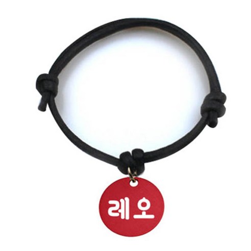 펫츠룩 굿모닝 블랙 반려동물 목걸이 M + 알미늄 원형 팬던트 S, 레드(레오), 1개