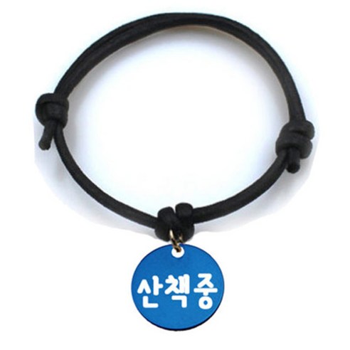 펫츠룩 굿모닝 블랙 반려동물 목걸이 M + 알미늄원형 팬던트 M, 블루(산책중), 1개