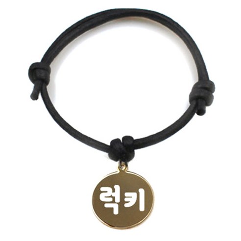 펫츠룩 굿모닝 블랙 반려동물 목걸이 M + 메탈원형 팬던트 S, 골드(럭키), 1개