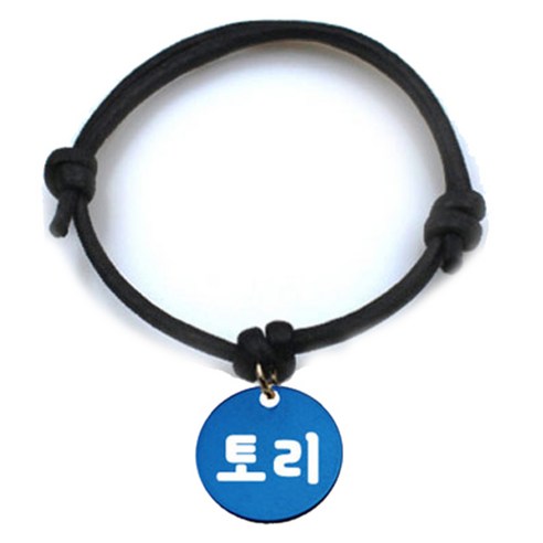 펫츠룩 굿모닝 블랙 반려동물 목걸이 M + 알미늄 원형 팬던트 S, 블루(토리), 1개