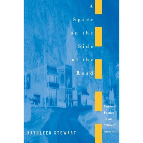 A Space on the Side of the Road: Cultural Poetics in an "Other" America Paperback, Princeton University Press