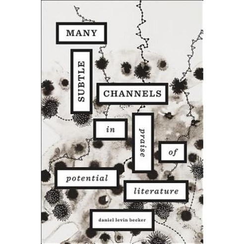 Many Subtle Channels: In Praise of Potential Literature Hardcover, Harvard University Press