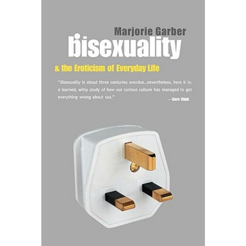 Bisexuality and the Eroticism of Everyday Life Paperback, Routledge