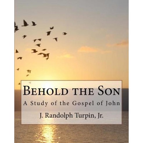Behold the Son: A Study of the Gospel of John Paperback, Declaration Press