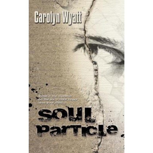 Soul Particle Paperback, Createspace - 가격 변동 추적 그래프 - 역대가