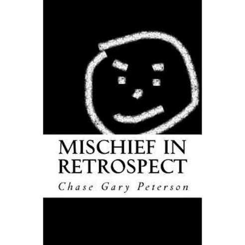 Mischief in Retrospect: An Account of Model Misbehavior in American ...