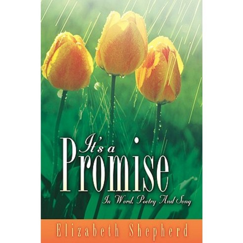 It''s a Promise Paperback, Xulon Press