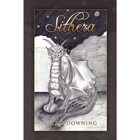 Sithera Hardcover, Xlibris Corporation - 가격 변동 추적 그래프 - 역대가