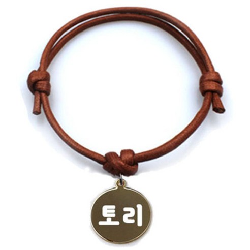 펫츠룩 굿모닝 카라멜 반려동물 목걸이 M + 메탈원형 팬던트 S, 골드(토리), 1개