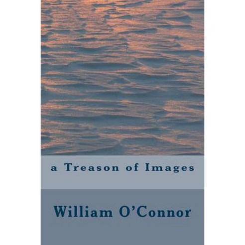 A Treason of Images Paperback, Createspace Independent Publishing Platform