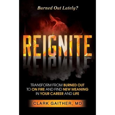 Reignite: Transform from Burned Out to on Fire and Find New Meaning in Your Career and Life Paperback, Lifestyle Entrepreneurs Press
