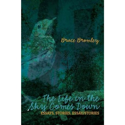 The Life in the Sky Comes Down: Essays Stories Essay/Story Paperback, Backlash Press