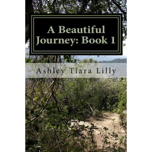 A Beautiful Journey: Book 1 Paperback, Createspace Independent Publishing Platform