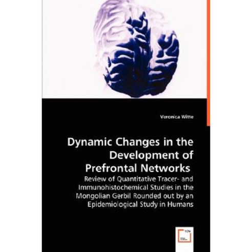 Dynamic Changes in the Development of Prefrontal Networks Paperback, VDM Verlag Dr. Mueller E.K.