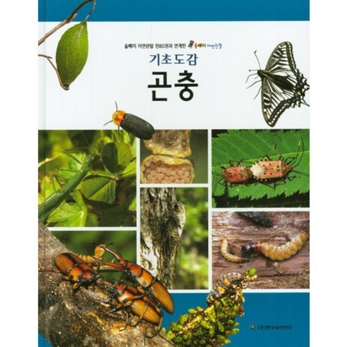 곤충(올빼미 자연관찰 기초 도감), 한국슈타이너