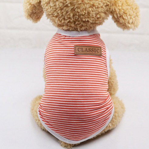 아리코 고양이 앤 강아지 코튼 스트라이프 티셔츠, 오렌지