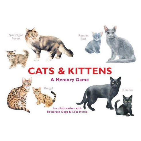 Cats & Kittens: A Memory Game Other, Laurence King
