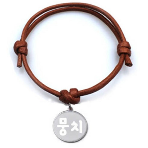 펫츠룩 굿모닝 카라멜 반려동물 목걸이 M + 메탈원형 팬던트 S, 실버(뭉치), 1개