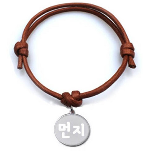 펫츠룩 굿모닝 카라멜 반려동물 목걸이 M + 메탈원형 팬던트 S, 실버(먼지), 1개