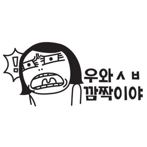 본투로드 개성넘치는 초보운전스티커, 45_우아ㅅㅂ깜짝이야 - 흰색, 1개