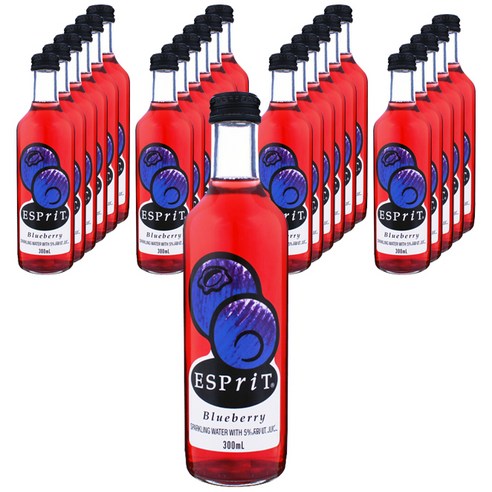 에스프리 블루베리 소다 탄산음료, 300ml, 24개입