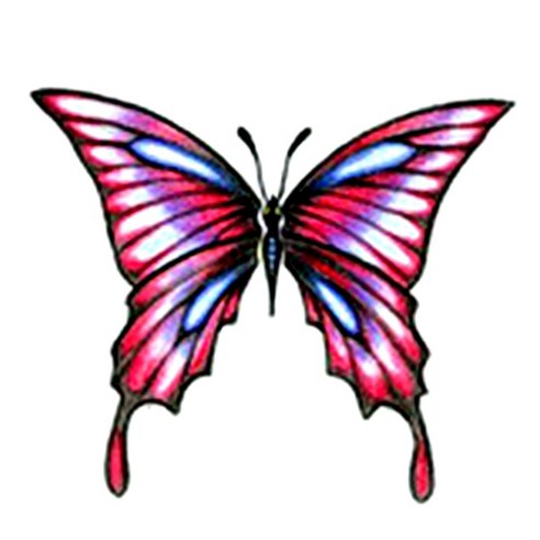 파티복닷컴 나비 웬디 타투 스티커, AC41, 1개