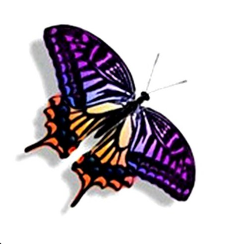 파티복닷컴 나비 웬디 타투 스티커, AC79, 1개