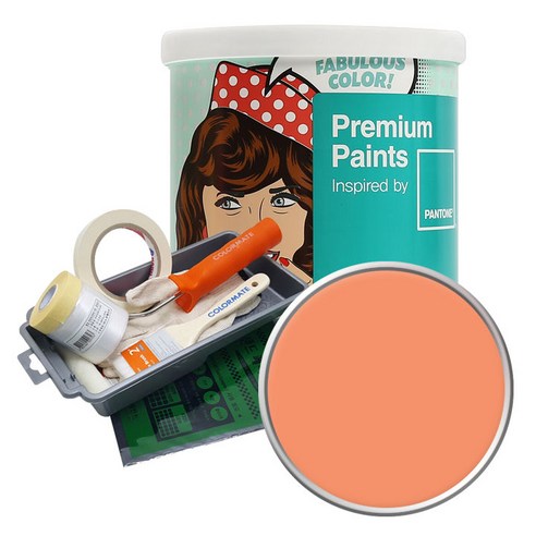 노루페인트 팬톤 내부용 실내벽면 저광 페인트 1L 세트, 15-1340 Cadmium Orange