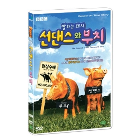 BBC 말하는 돼지 선댄스와 부치 BBC The Legend of the Tamworth Two DVD, 1CD