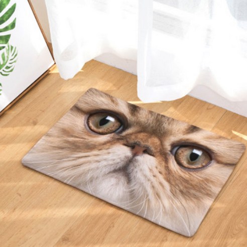 노랜드 Cat Face style 다용도 발매트, 16