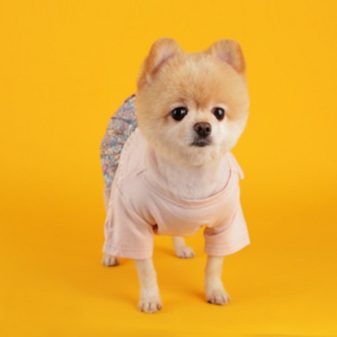 유아러피치 강아지 가을 피크닉 원피스, 핑크, M, 1개