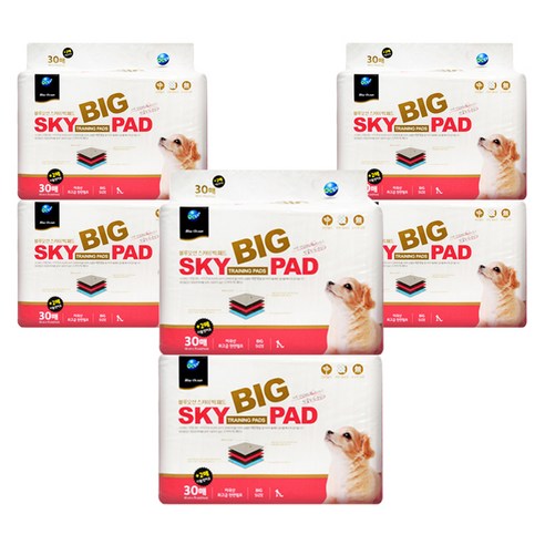 블루오션 스카이 빅 배변패드 레몬향 32p, 6팩