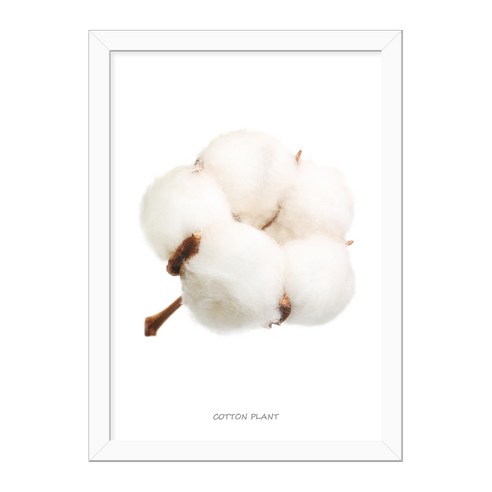 씽크어스 플라워액자 11 목화, WHITE
