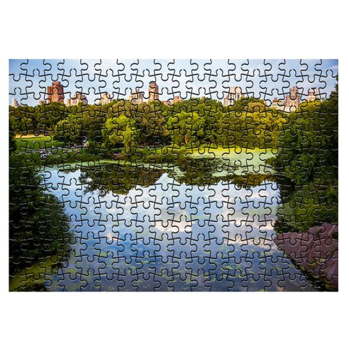 다모아 시험관 직소퍼즐, 234피스, 샌트럴파크